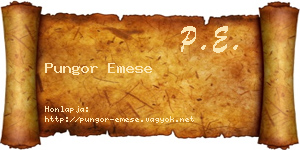 Pungor Emese névjegykártya